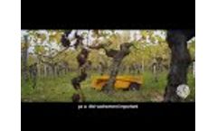 Vitirover: The Solar Robot to Protect the Earth #My positive Impact  Video