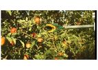 FFRobotics - Robotic Fruit Harvester