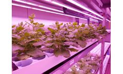 Urban Crop Solutions Ranked #4 in Fact Company’s List of Most Innovative Companies