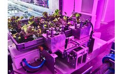 Large Scale Plant Factory