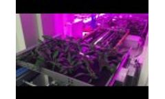 Urban Crop Solutions PlantFactory | Robotization: Crate Exit Video