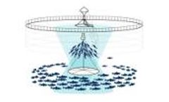 How to improve water quality in salmon farming
