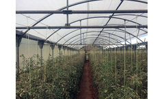 Smart Sowing - Model SLV  - Low Volume Nebulizer