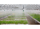 Smart Sowing - Model SRM - Micro-Sprinkler Irrigation System