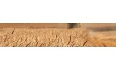 Randox - Clenbuterol ELISA Test Kit