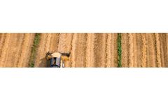 Randox - Chloramphenicol ELISA Test Kit