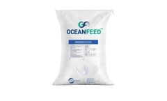 Ocean Harvest - Model OceanFeed - Seaweed Ingredient for Bovine Nutrition