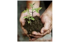 Soil Decontamination and Remediation Services