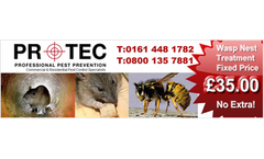 Manchester - Manchester Pest Control