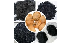 Coconut Shell Activated Carbon