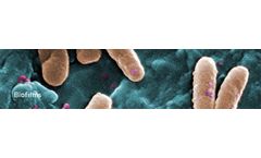 qCell T Series for Biofilm Analysis