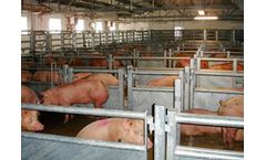 Renner - Animal Welfare-Compliant Lairages