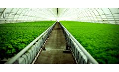 Waste water treatment solutions for agriculture industry