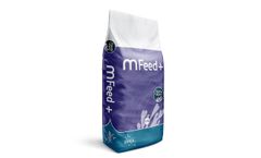 Olmix - Model Mfeed+ - Balanced Digestive System