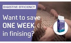 Save one week in finishing with MFeed+ - Video