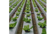 Limestone and Calcium Products for Agriculture industry