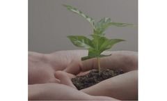 Limestone and Calcium Products for Environment Industry