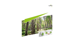 Wintersteiger - Model DSB Compact 310 - Single Module Thin Cutting Band Saw Brochure