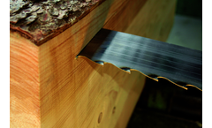 Wintersteiger - Resaw and Log Band Saws