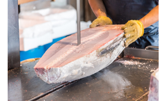 Wintersteiger - Food Saw