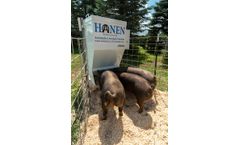 Hanen - Model LSF-2 - Automatic Cattle and Livestock Feeder