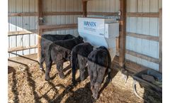 Hanen - Model LSF-4 - Automatic Cattle and Livestock Feeder