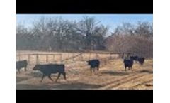 Take The Worry Out Of Owning Livestock - Video