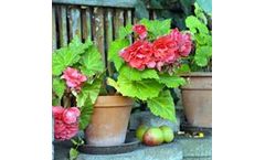 Organic Agriculture Biofertilizers  for Gardening