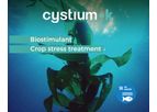 Ficosterra Cystium-k - Macrocystis Pyrifera Seaweed Extract