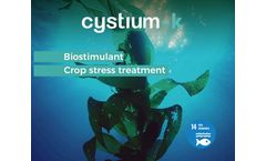 Ficosterra Cystium-k - Macrocystis Pyrifera Seaweed Extract