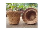 Coir Pot