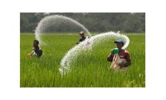 Kaolin solutions for pesticides sector