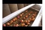 Shallot Grader / Topper / Sizer Video