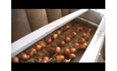 Shallot Grader / Topper / Sizer Video
