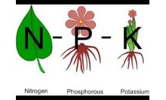 Planta - Model NPK - NPK water soluble