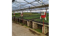 PROPAGATION OF CUTTINGS USING EH-POWERGROUND ELECTRIC HEATING MATS