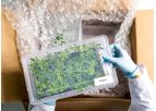 Segra - Plant Tissue Culture (PTC)