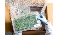 Segra - Plant Tissue Culture (PTC)