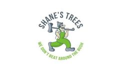 Tree Removal Services