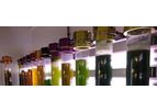 Redono - Model Phyco-Bubble 2 – 25 L - Fully Controllable Laboratory Scale Column Photobioreactor System