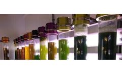 Redono - Model Phyco-Bubble 2 – 25 L - Fully Controllable Laboratory Scale Column Photobioreactor System