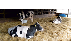 Irish Zeolite - Cattle and Sheep Bedding Zeolite