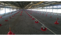 Irish Zeolite - Natural Zeolite for Poultry Litter