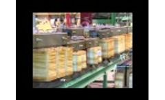 MGM Transformer Company`s Maquiladora Program Video