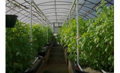 Precision Indoor Farming - Case Study