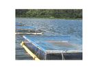 Community Fish Farm