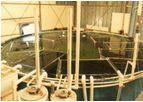 Aquaculture Nursery Tank