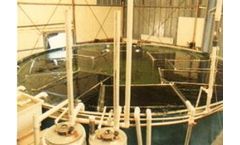 Aquaculture Nursery Tank