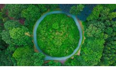 Circular Economy Consulting Services