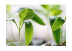 Sphera - Environmental Management System (EMS) Consulting Services